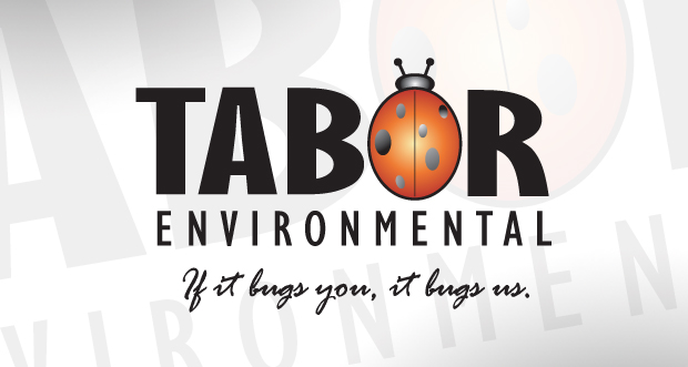 Tabor Environmental Logo Design by Cre8iveOptions