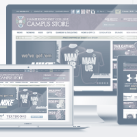 Custom Responsive Website Design